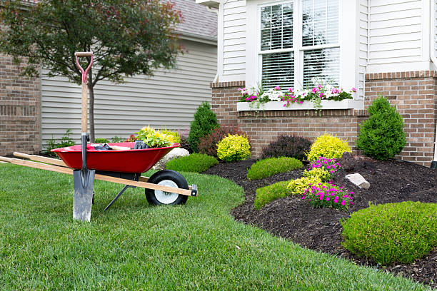 Landscaping Franklin Tn Precision Lawn Care Landscaping