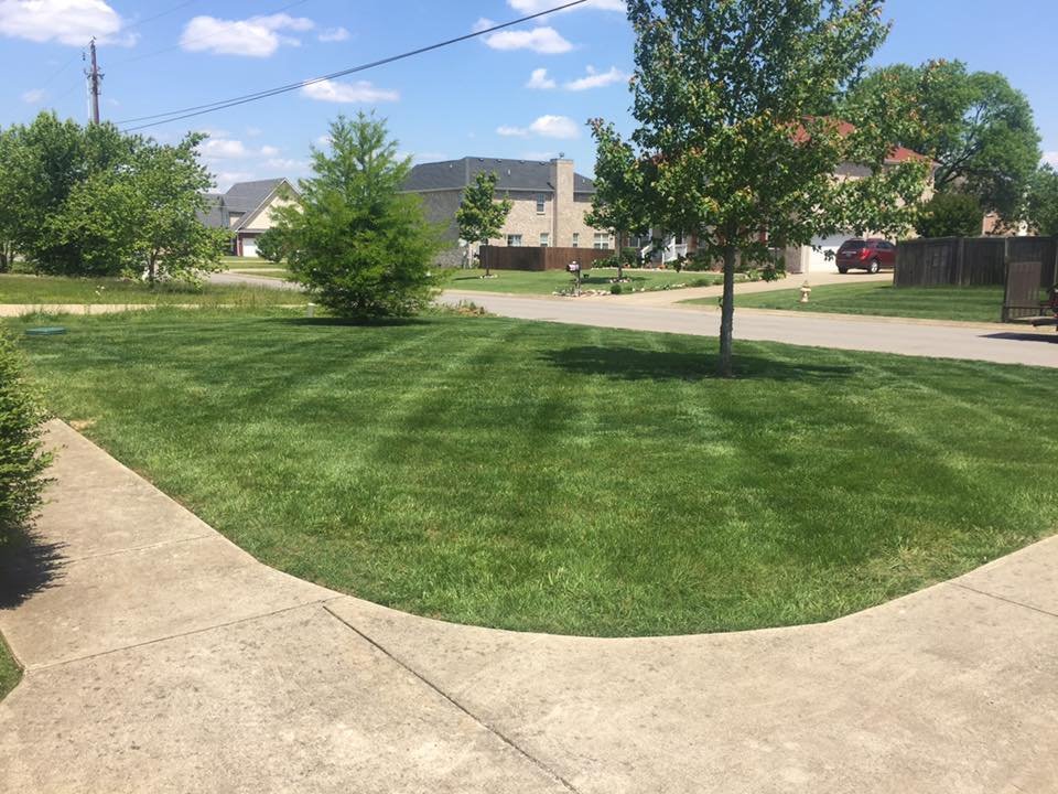 Landscaping Murfreesboro Precision Lawn Care Murfreesboro Tn Landscaping