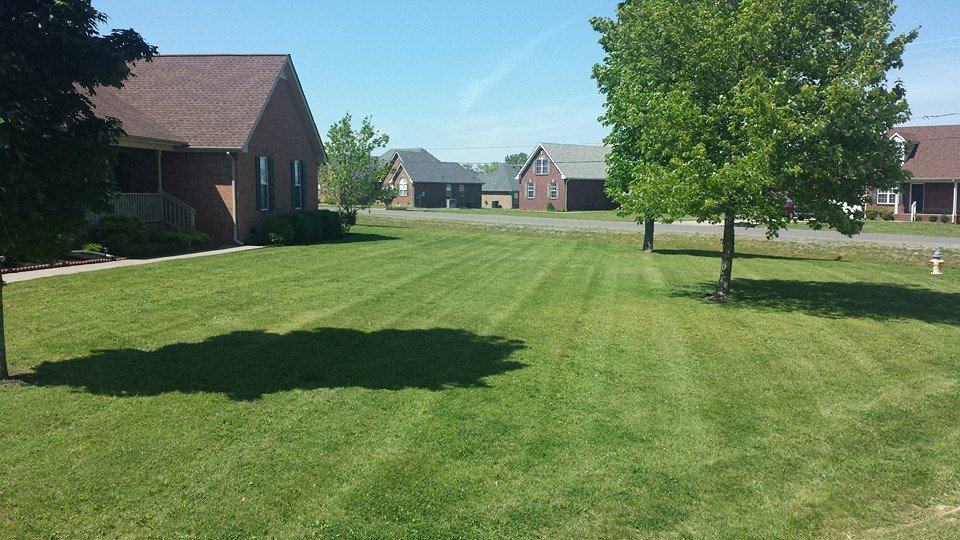 LawnCareMurfreesboroTN.2 Precision Lawn Care & Landscaping
