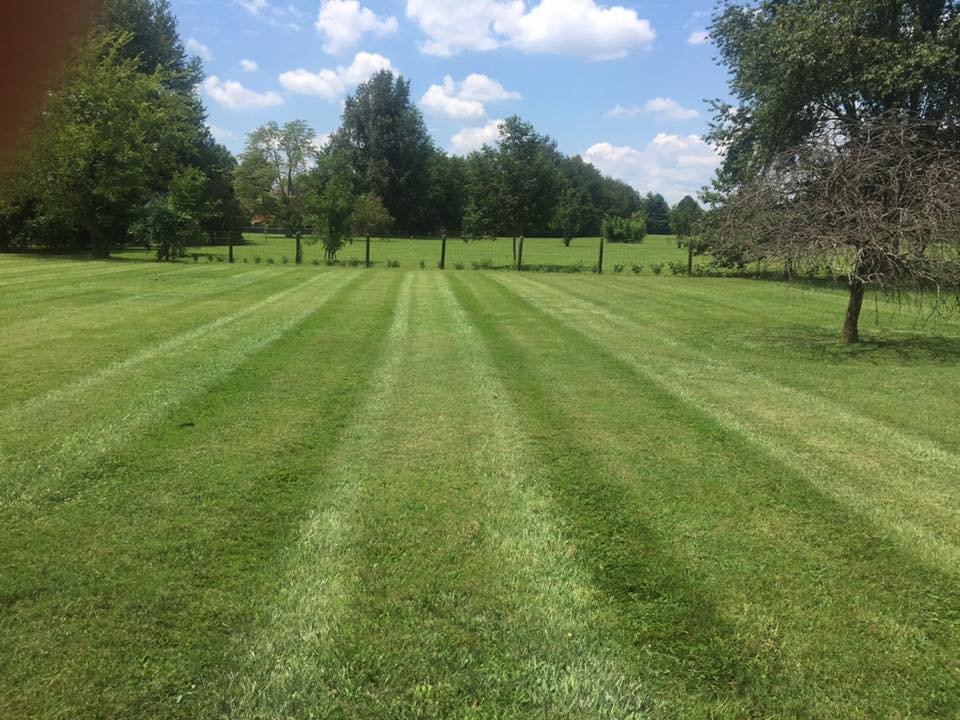 LawnMaintenanceMurfreesboroTN.1 Precision Lawn Care & Landscaping