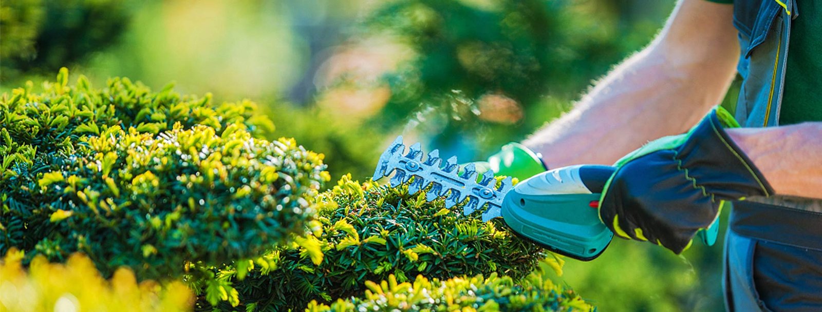 LandscaperFranklinTN Precision Lawn Care & Landscaping